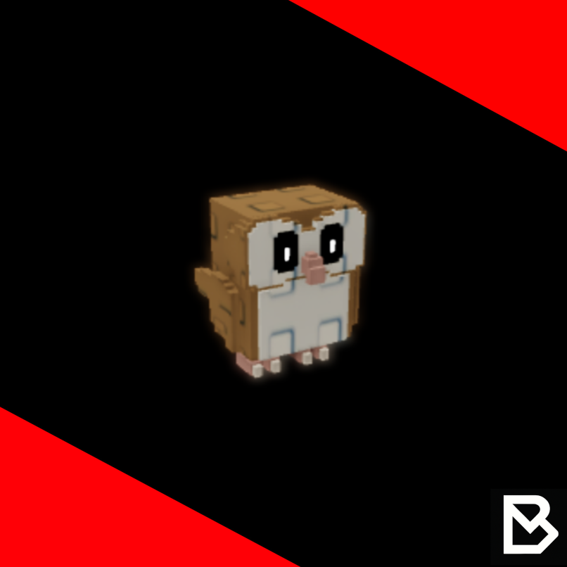 Barn Owl