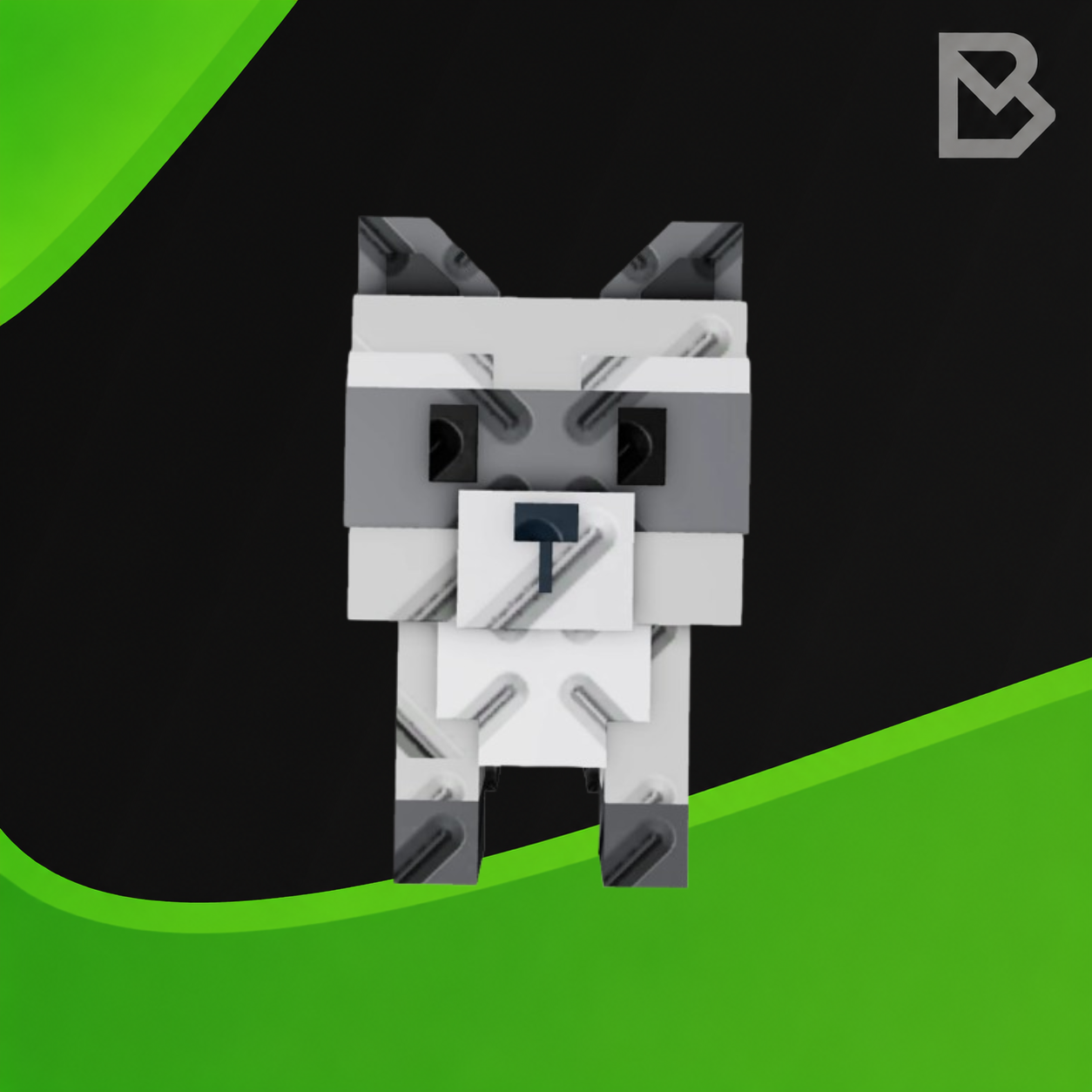 Raccoon