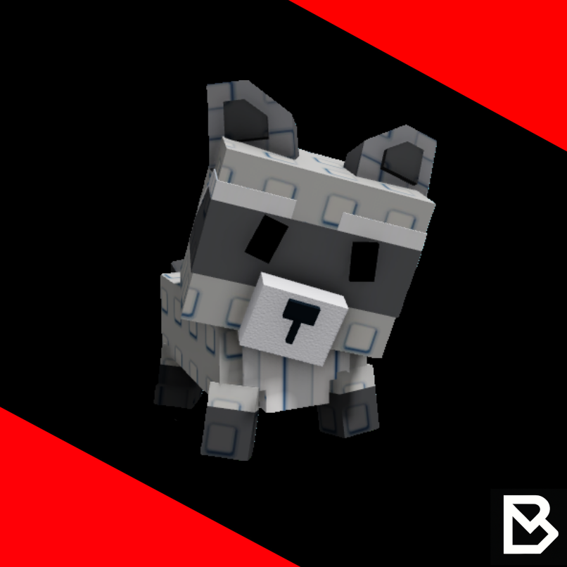 Raccoon